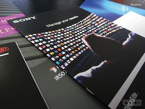 全方位创意服务 从网页设计到品牌形象的一站式解决方案